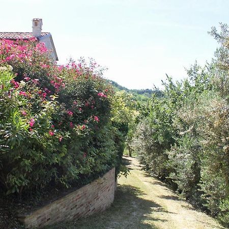 Villa Melagrana Fano Bagian luar foto