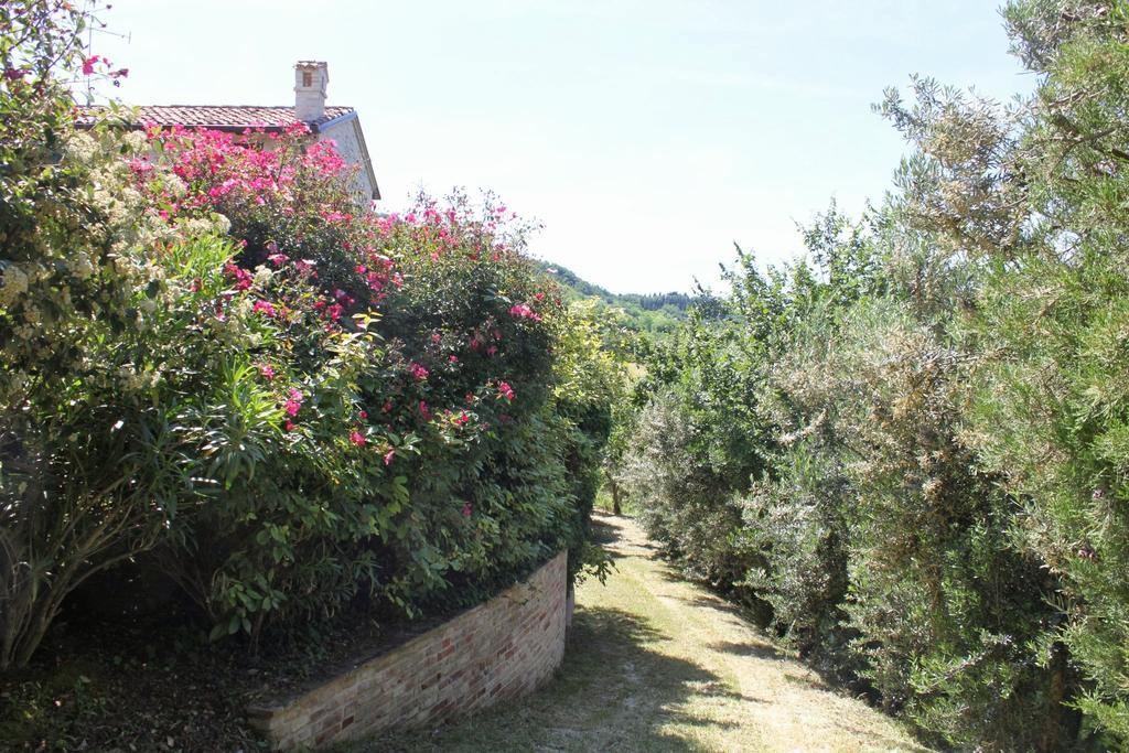 Villa Melagrana Fano Bagian luar foto