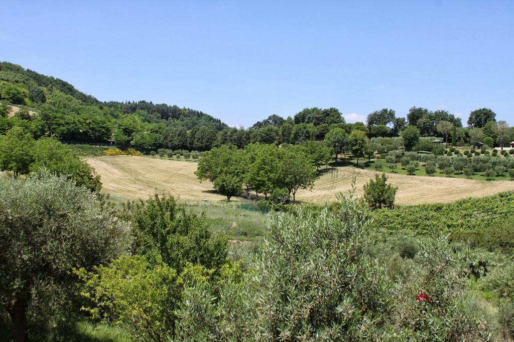Villa Melagrana Fano Ruang foto