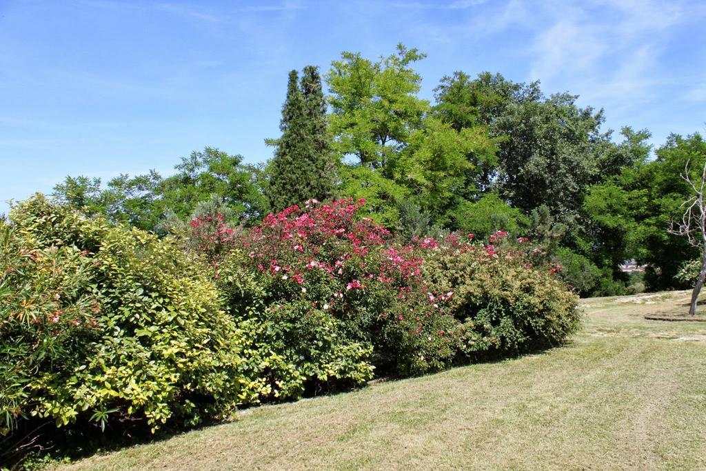 Villa Melagrana Fano Ruang foto